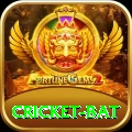 cricket bat - King v5.0.5