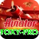 Dealer Foxy Turbo Gaming App