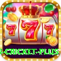 fastest ball in cricket Casino Mega v3.3.2