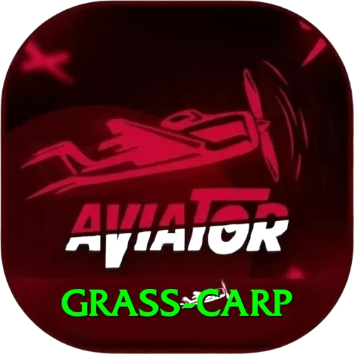 grass carp King v2.5.4 - 2