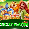 india cricket match PK Mega