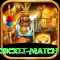 india pakistan cricket match Deluxe Latest v2.0.6