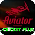 international cricket Jackpot Max v3.0.5