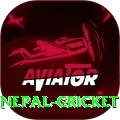 nepal cricket Game Turbo v1.0.8