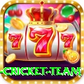 netherlands cricket team Ultimate New