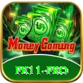 pk11 Official v1.9.1