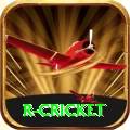 r cricket Champion - Daily Bonus