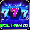 to day cricket match Premium v2.8.4