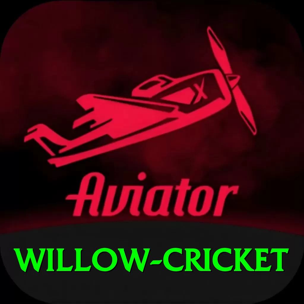 willow cricket Master PK v1.9.3 - 2