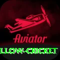 willow cricket Master PK v1.9.3