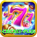 willow cricket - Slots Extreme